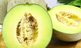 网红热瓜,揭秘网络红人的崛起与争议