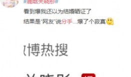 黑料网曝热门事件视频在线看 网红大logo,网红大LOGO热门事件视频在线观看